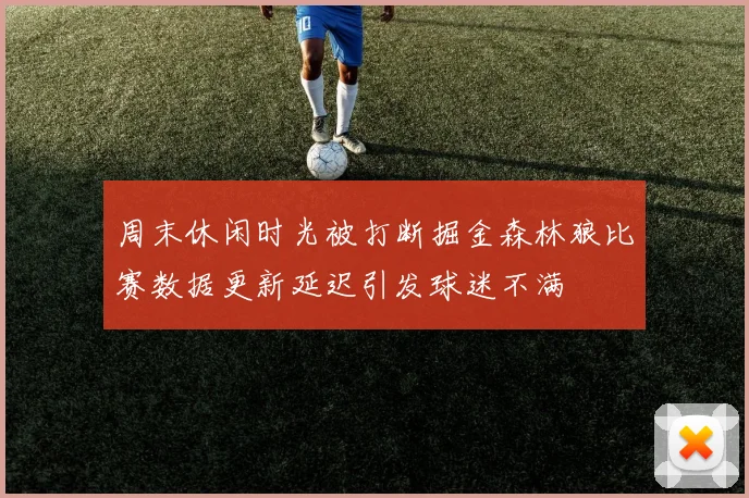 周末休闲时光被打断掘金森林狼比赛数据更新延迟引发球迷不满