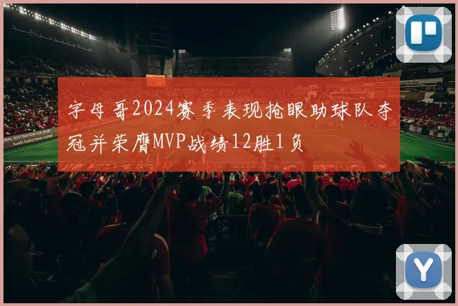 字母哥2024赛季表现抢眼助球队夺冠并荣膺MVP战绩12胜1负